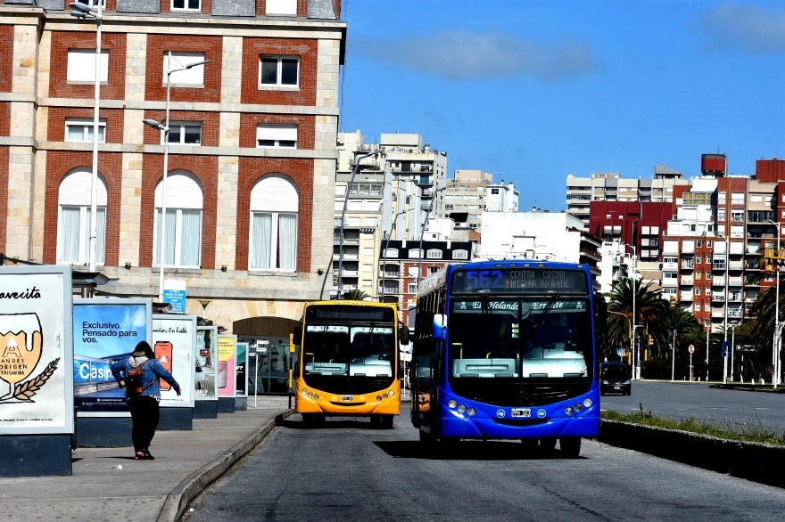 El boleto de colectivo en Mar del Plata aumentó su costo y se esperan más subas