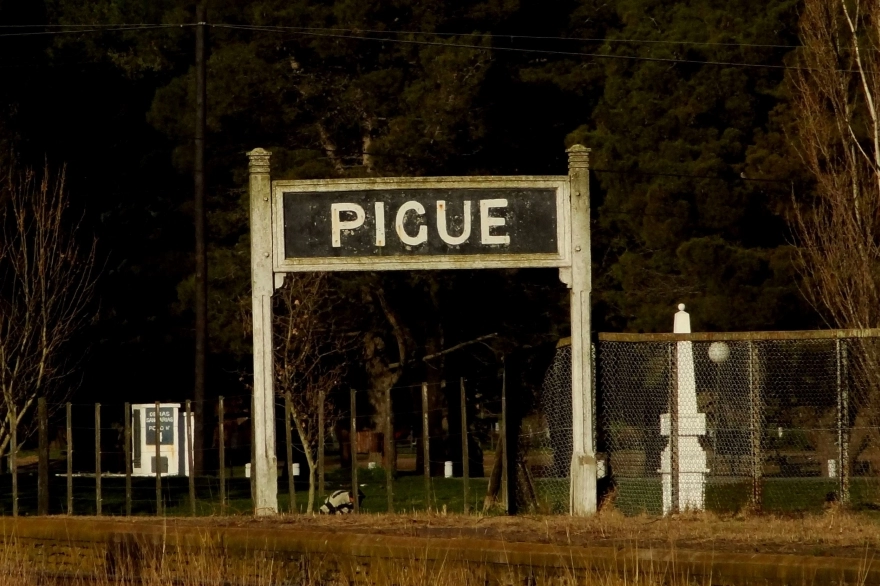 Pigüé: escándalo por una fiesta con juguetes sexuales en un merendero