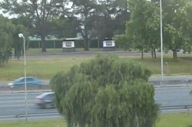 Video: evitaron un intento de suicidio a la altura de Tigre