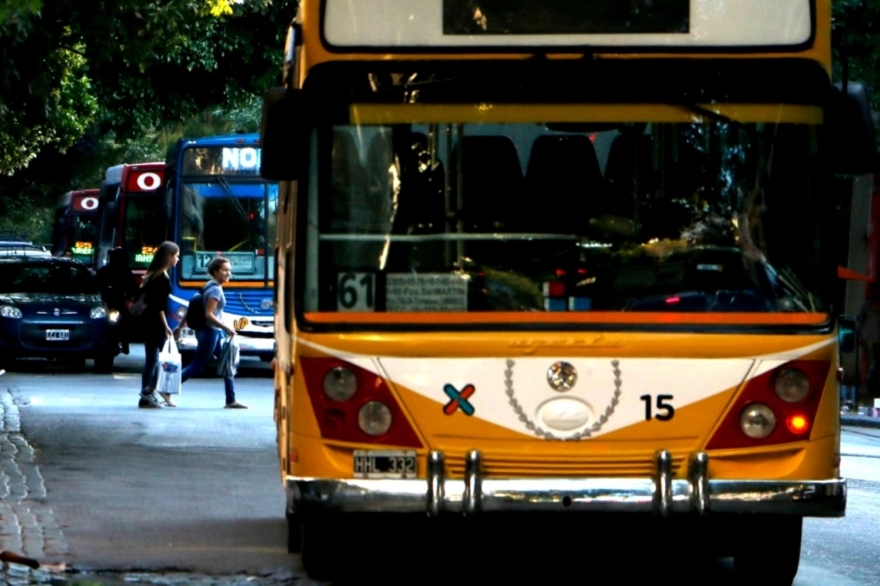 Día de la Democracia: micros y trenes gratis en todo el país