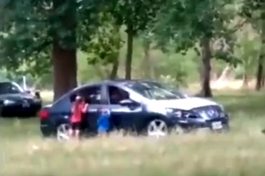 Video: dos irresponsables bajaron a sus hijos del auto para tener sexo