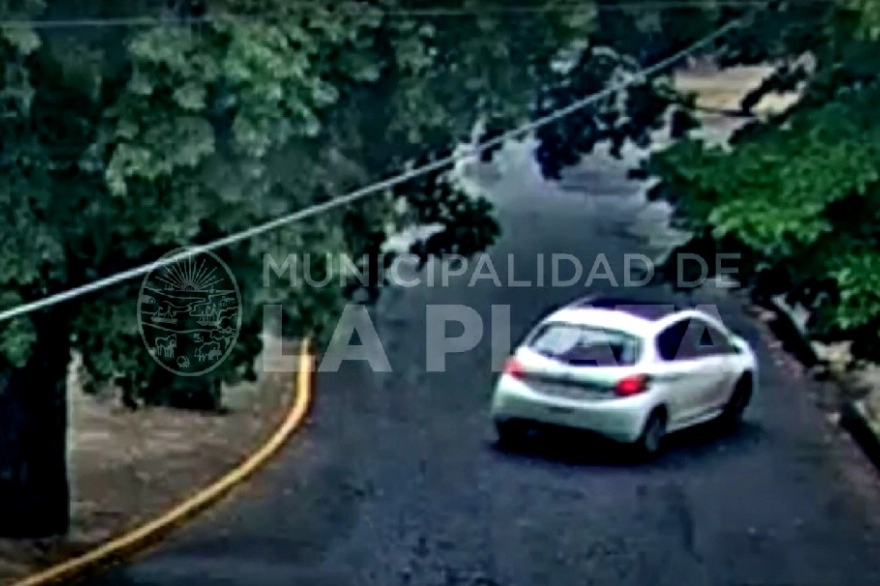 Video: chocó contra un árbol y su auto quedó destruido