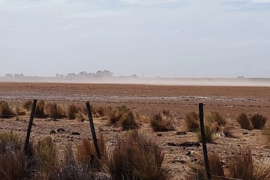 Por la sequía, declararon Emergencia y Desastre Agropecuario en Patagones