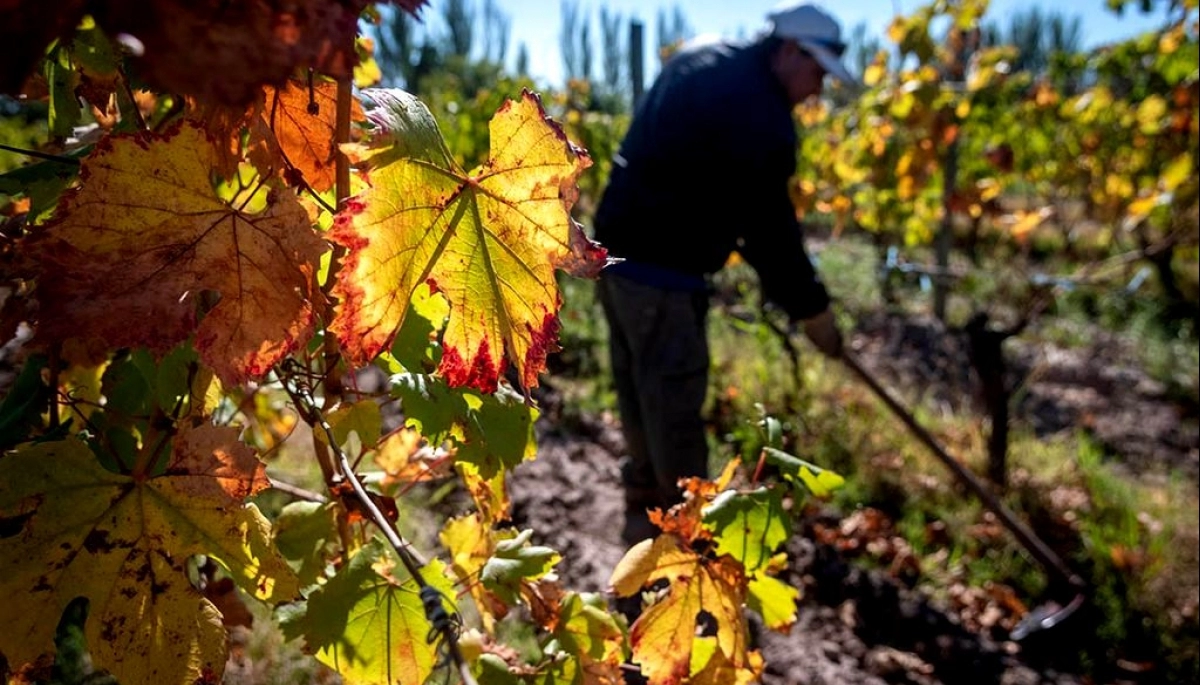 Se vino el otoño: por qué este año se celebró el 20 de marzo y no el 21