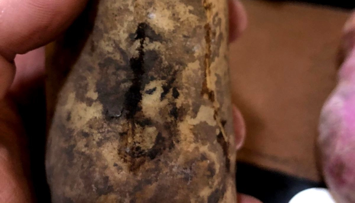 Aparición divina: furor por la papa con la cara de Maradona