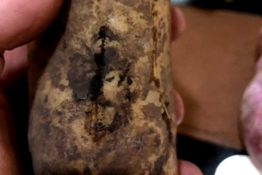 Aparición divina: furor por la papa con la cara de Maradona