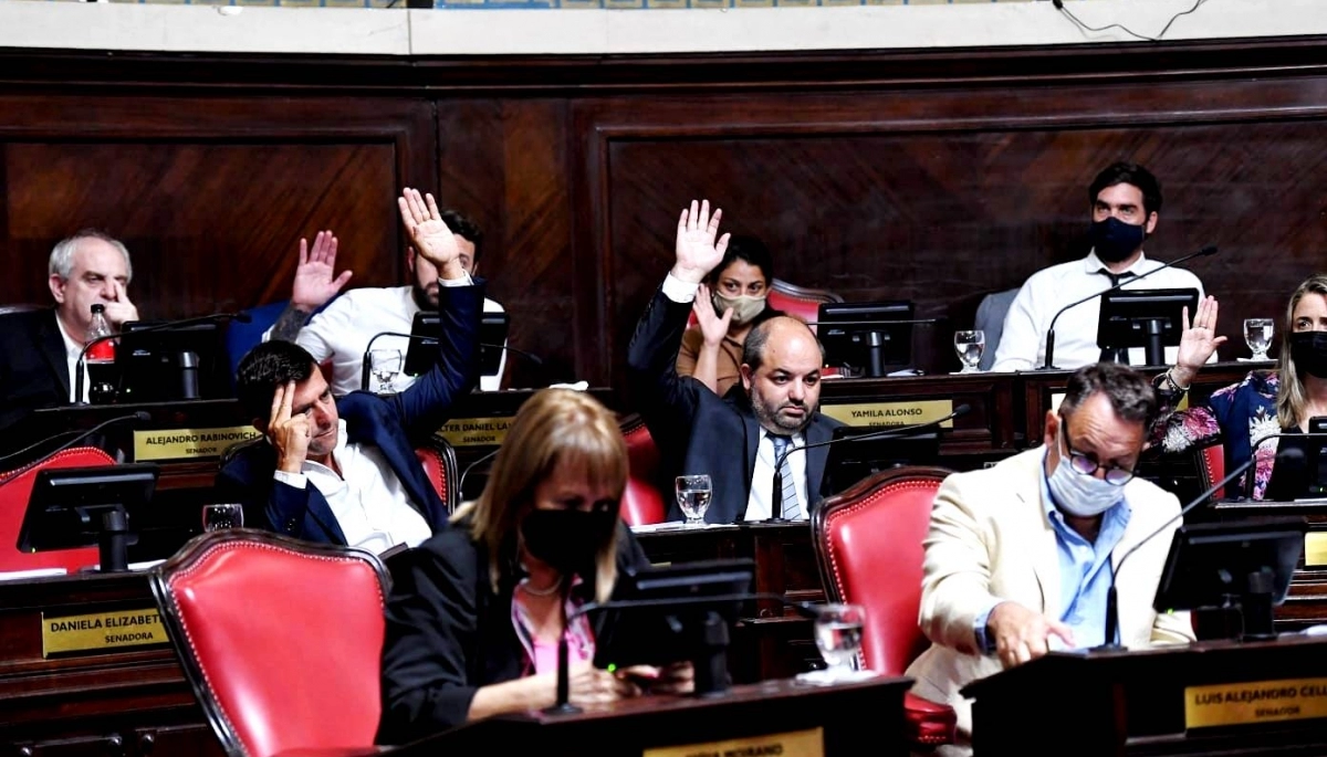 Senadores de Juntos contra el control de precios en manos de los intendentes