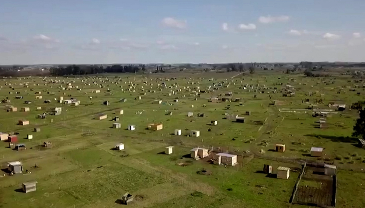 Megatoma de Los Hornos: el Municipio de La Plata insiste para desarchivar la causa