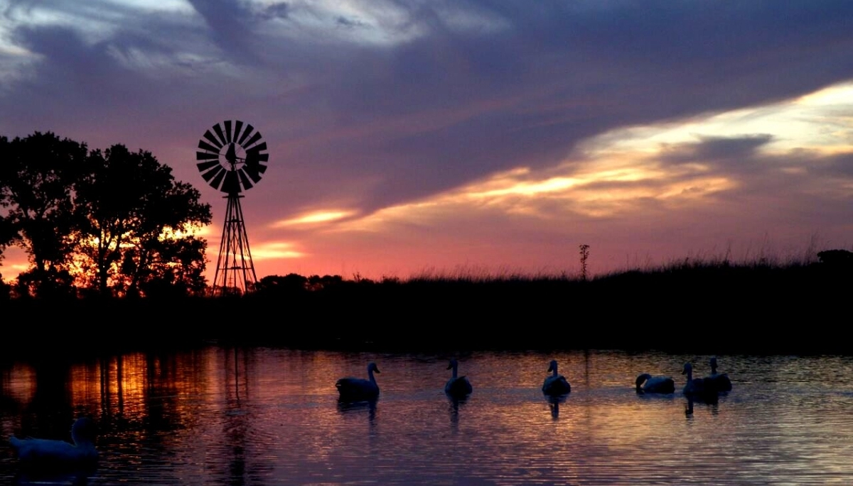 Destinos bonaerenses: Punta Indio y su magia natural con turismo comunitario