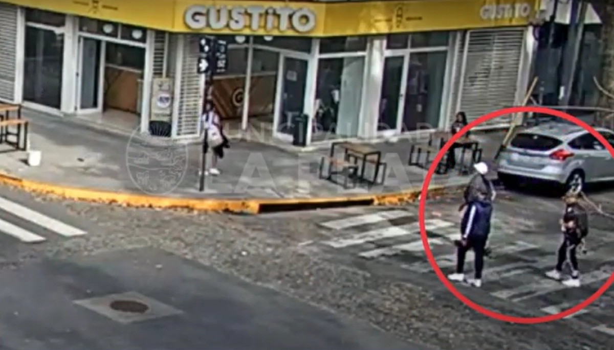 Video: robaron una heladería en el centro de La Plata y fueron detenidos