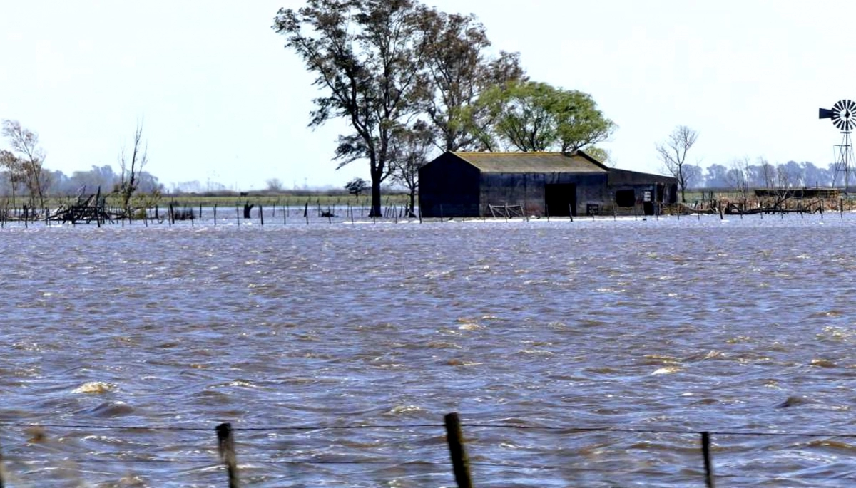 Consecuencias de la lluvia: Provincia declaró el “desastre agropecuario” en distrito del Interior