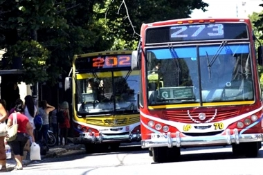 En La Plata, buscan ampliar el recorrido y la frecuencia de los micros