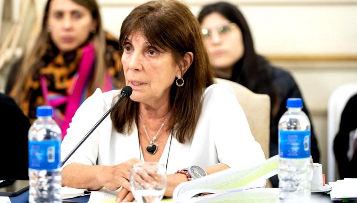Teresa García apuntó contra el proyecto de Boleta Única y tildó a la oposición de "oportunista"