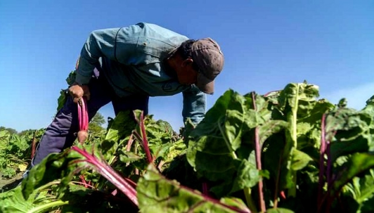 La Provincia lanzó una convocatoria para financiamiento a cooperativas agropecuarias