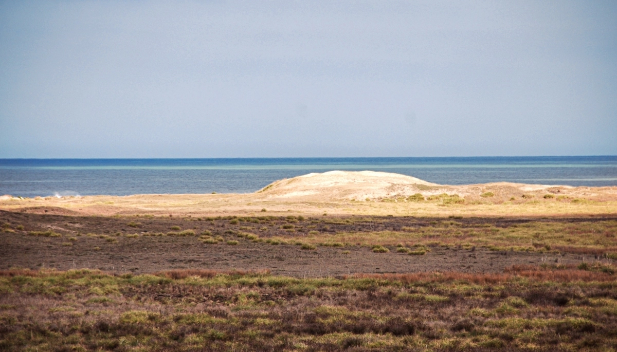 Paredi en contra de las prácticas de tiro en la ex base CELPA de Mar chiquita