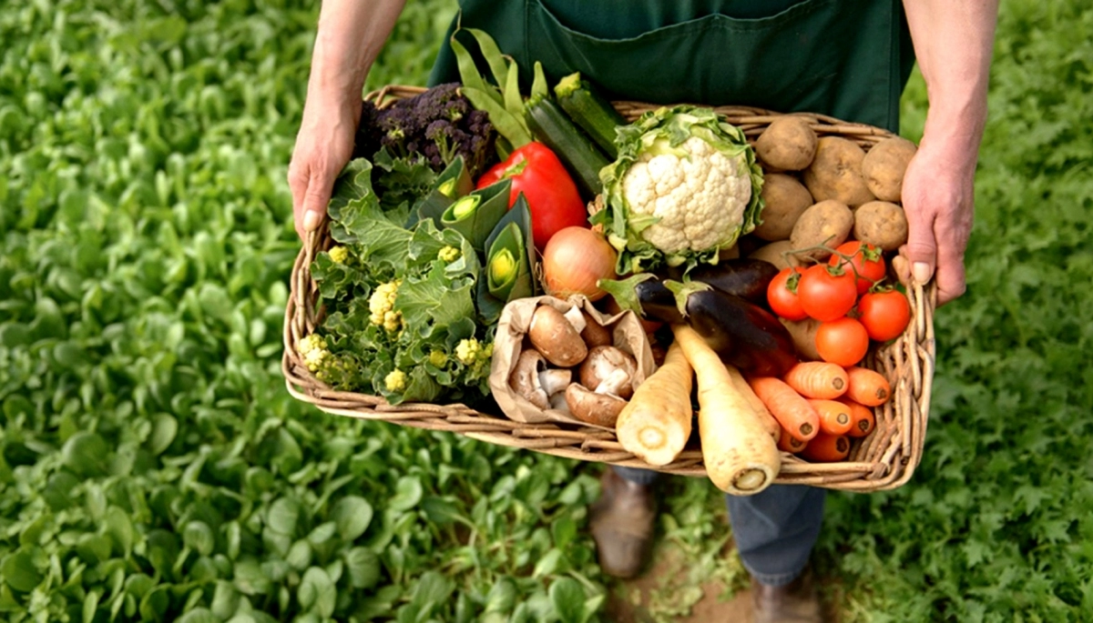 En la Provincia se presentó nuevamente el programa "Exportando Alimentos Bonaerenses"