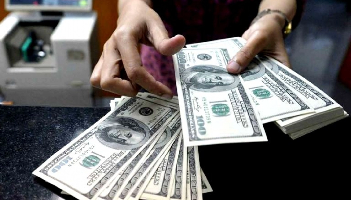 El Banco Central habilitó el “dólar soja” para el campo