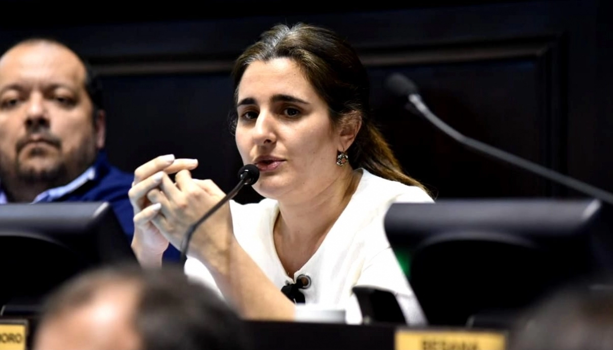 “Massa no cuenta con una habilidad moral para el cargo”, lanzó la diputada Etchecoin