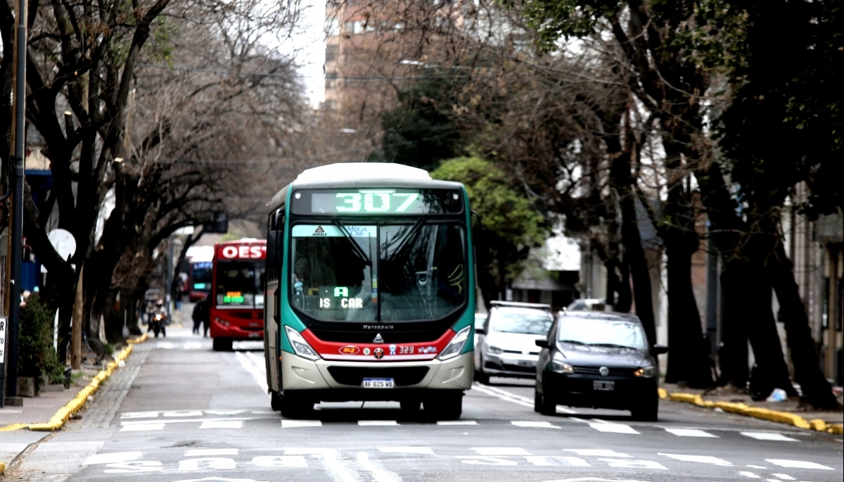 La Plata: el nuevo carril de calle 54 redujo hasta un 64% el tiempo de viaje