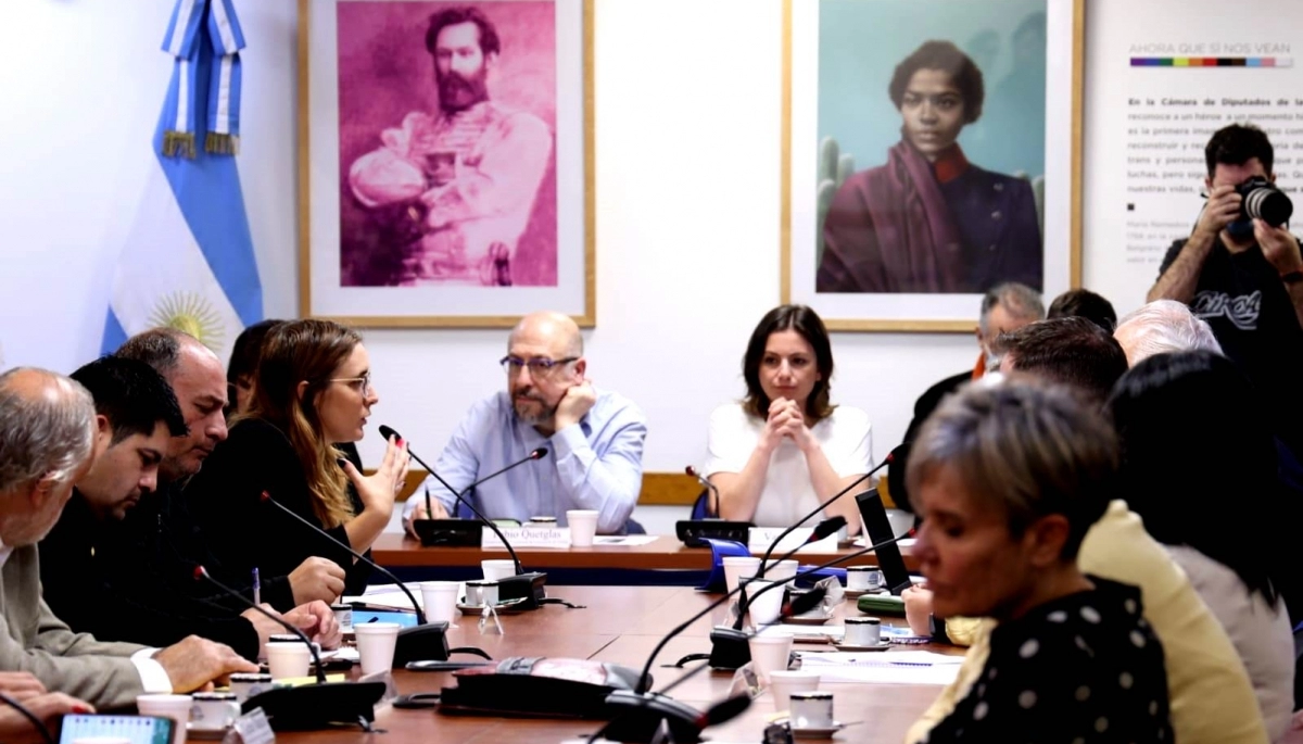 Congreso: Ruiz Malec participó de la sesión para tratar el proyecto de ley sobre comités mixtos