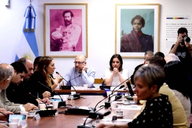 Congreso: Ruiz Malec participó de la sesión para tratar el proyecto de ley sobre comités mixtos