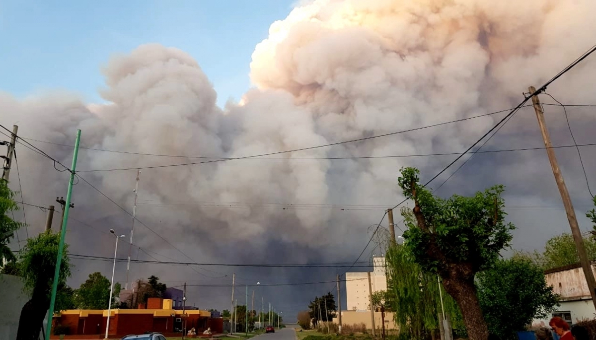 Ministerios de Ambiente, Salud y Seguridad desplegaron operativos en la zona del Delta de Paraná