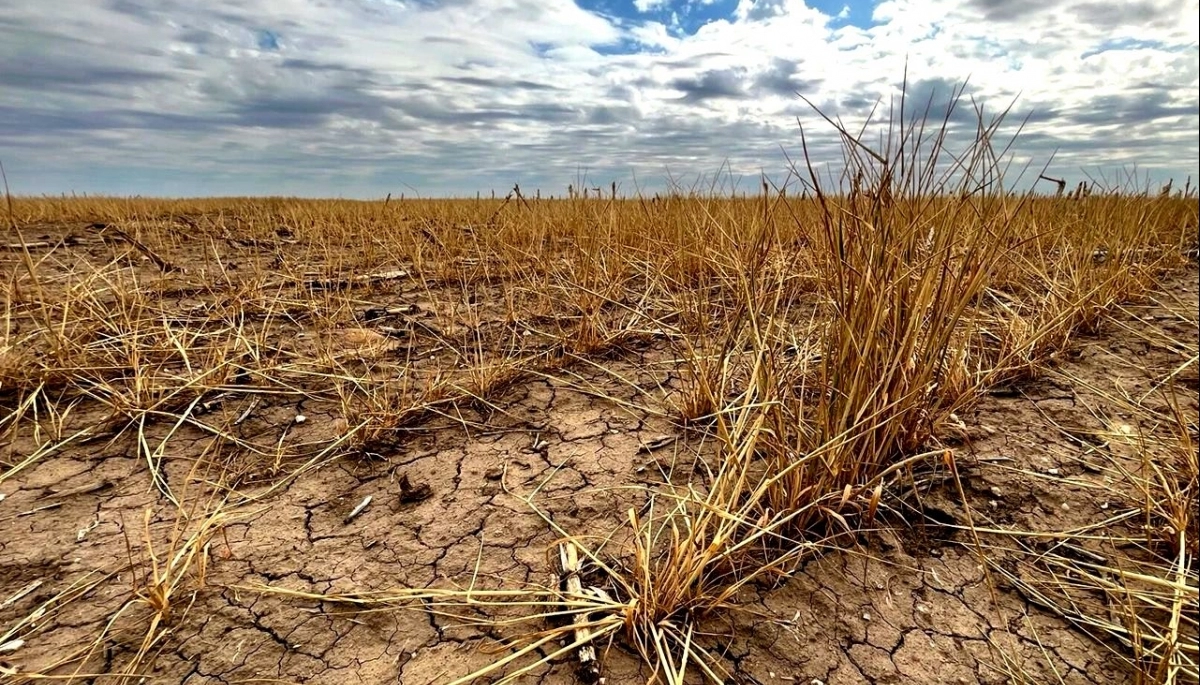 Son 13 los partidos bonaerenses que declararán la emergencia agropecuaria