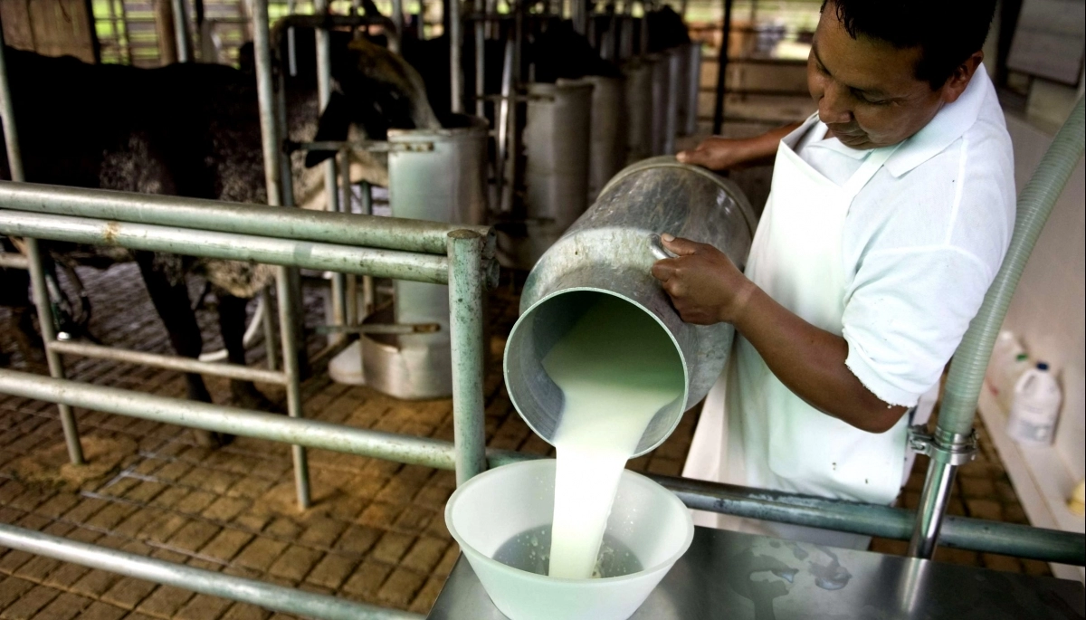 El gremio de lecheros llamó a un paro de 72 horas en SanCor: qué pasa con el abastecimiento