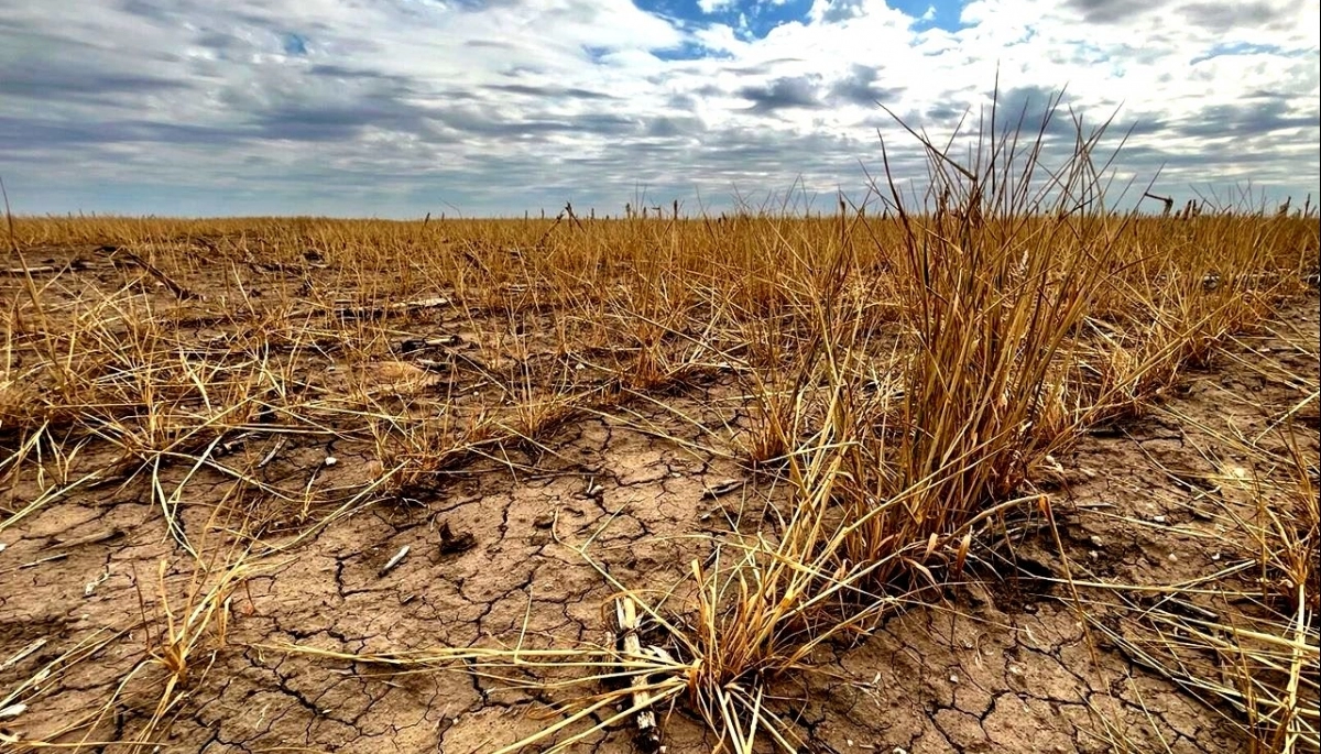Panorama desalentador: las sequías continúan acechando a la Provincia