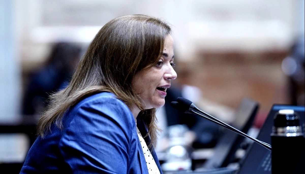 Moreau exige aprobar el proyecto de ley “Plan de Pago de Deuda Previsional”
