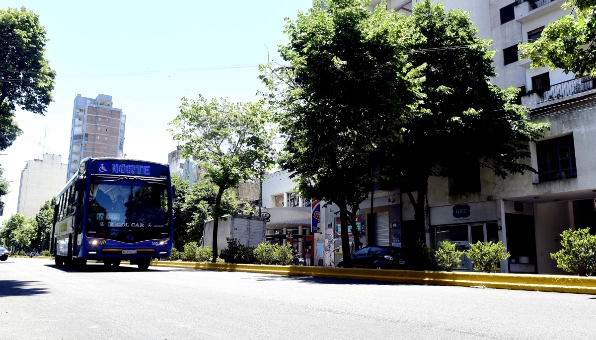 Transporte público La Plata: por inicio de temporada empiezan a regir horarios de verano