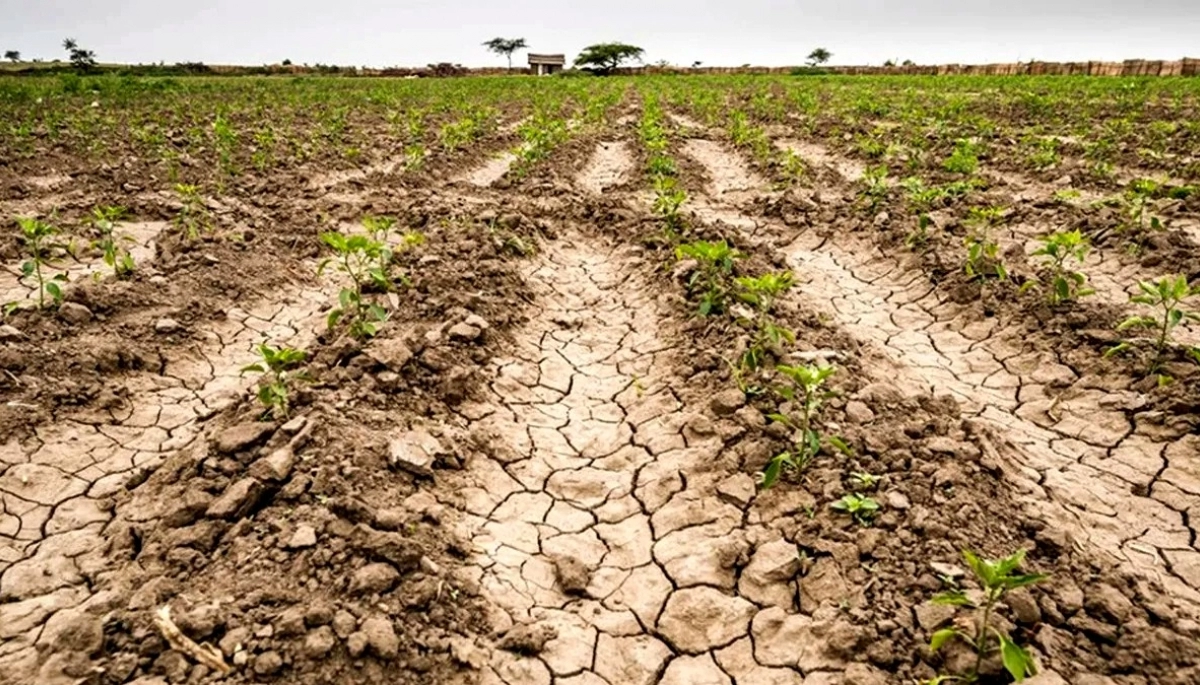 Continúa la sequía: Senadores de Juntos pidieron ayuda de la Provincia para Productores Rurales