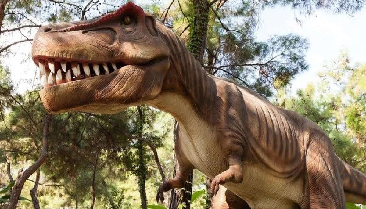 Con réplicas en tamaño real y cascadas, La República de los Niños prepara el nuevo “Dino Parque”