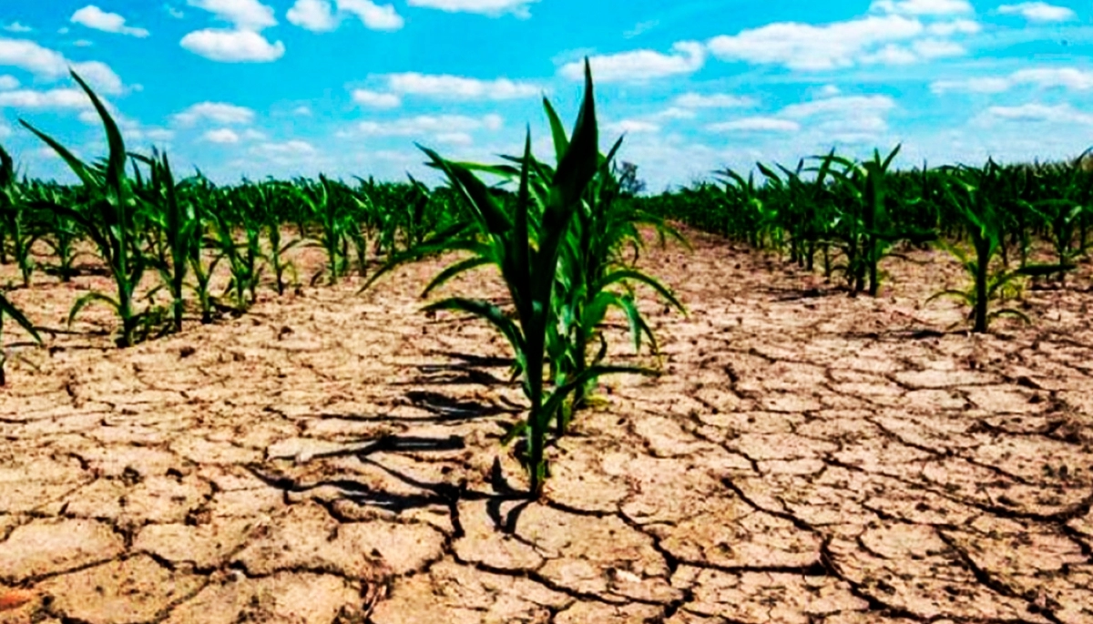 Emergencia agropecuaria: la Provincia continúa con las líneas de créditos para municipios