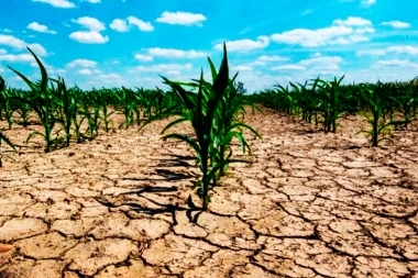 Emergencia agropecuaria: la Provincia continúa con las líneas de créditos para municipios