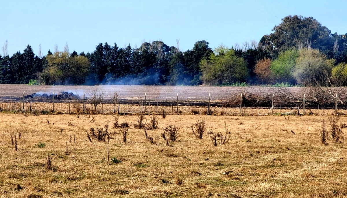 Emergencia agropecuaria: la provincia de Buenos Aires la prorrogó hasta marzo e incorporó nuevos partidos