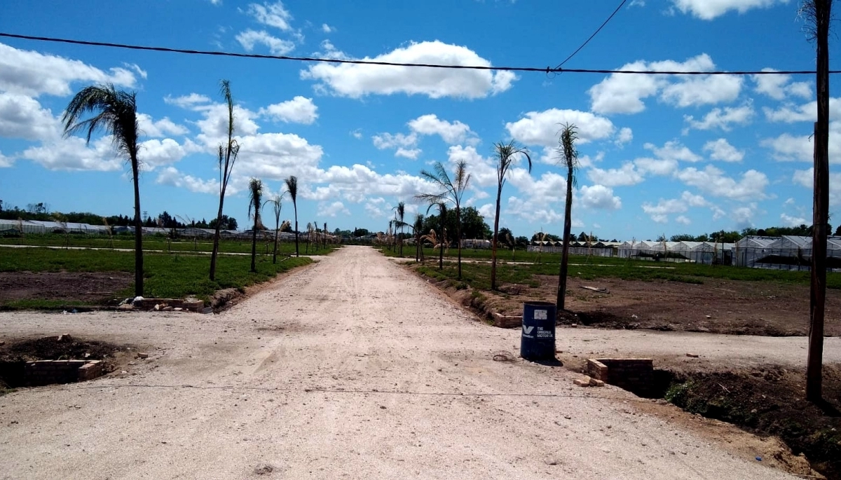El municipio de La Plata clausuró lotes en venta por construcciones ilegales y estafas