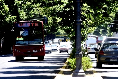 El transporte público vuelve a funcionar con su cronograma habitual en La Plata