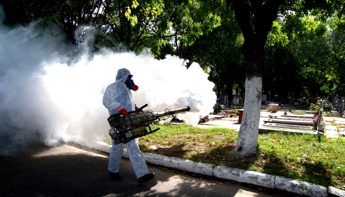 Suman 80 los casos de dengue en la Provincia y confirmaron circulación comunitaria