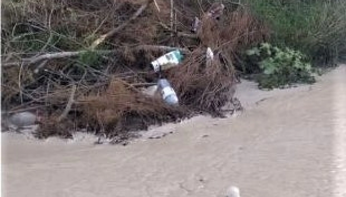 Problema de basura: vecinos de Villa Gesell denuncian “abandono” del municipio