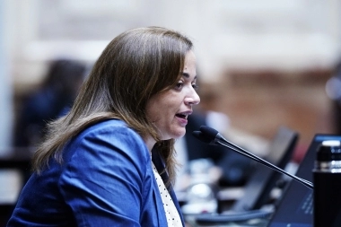Moreau cruzó a los Senadores de Juntos: “No tienen empatía ni responsabilidad política”
