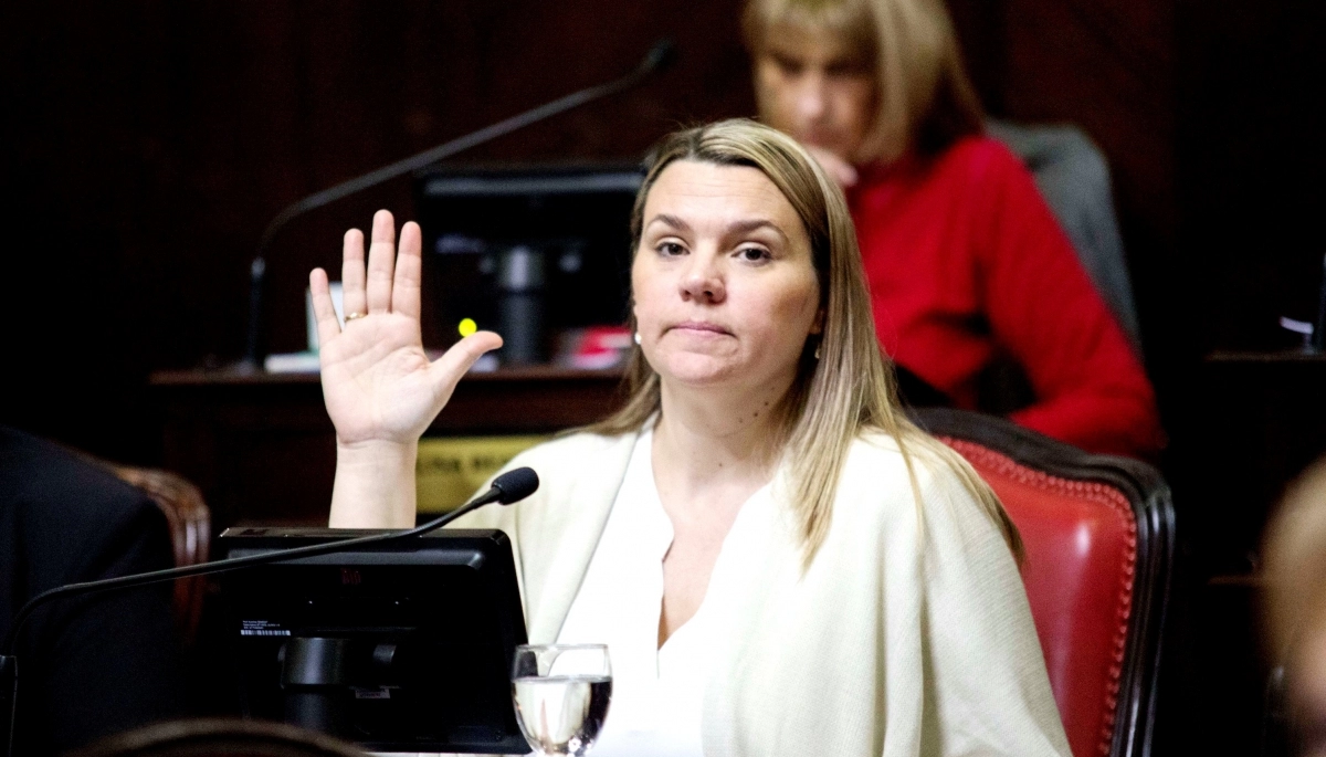“Ellos tienen diálogo”: la senadora Petrovich no descartó una alianza entre Milei y Bullrich