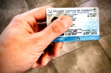 Será obligatorio el libre de deuda alimentario para renovar la licencia de conducir