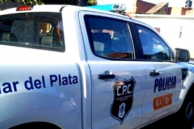 Tres bestias despertaron a una jubilada con trompadas y le robaron dos televisores
