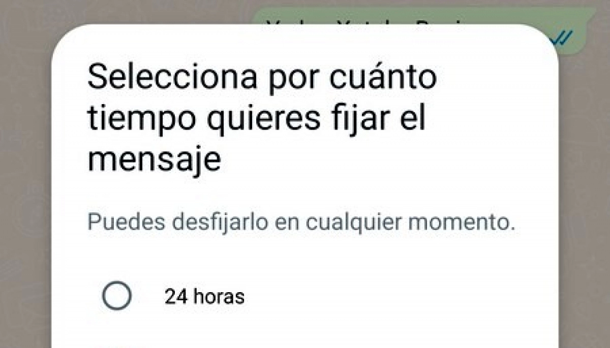 Más funciones en WhatsApp: anclar mensajes y revisar conexión en videollamada