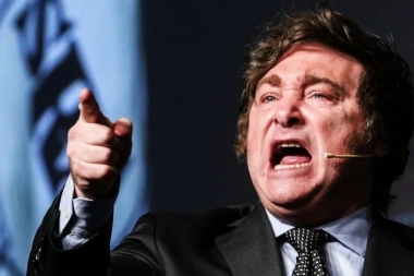 Milei atacó al PRO, la UCR y la Coalición Cívica por el apoyo a las leyes de Kicillof