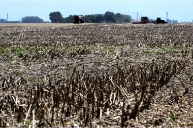 Provincia decidió extender la emergencia agropecuaria: cuáles son los municipios afectados