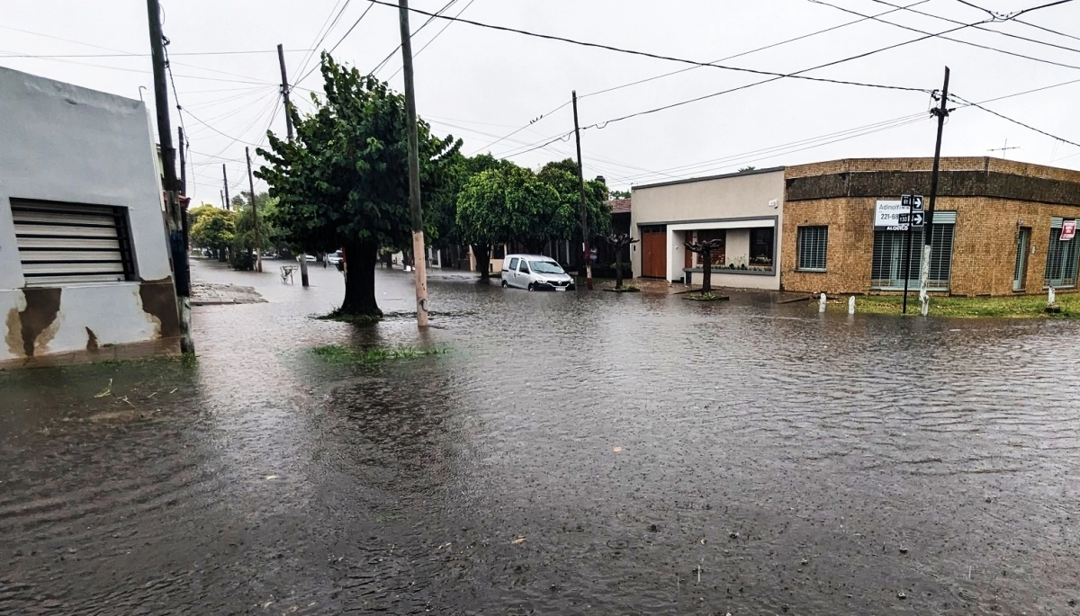 Inundaciones en La Plata: vecinos denuncian cortes de luz, caídas de postes y de árboles