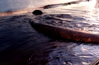 Qué dijo la empresa Oiltanking sobre los derrames de petróleo en la ría del puerto de Bahía Blanca