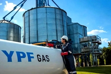 Senadores bonaerenses de Milei disputan con Weretilneck por la planta de GNL en Bahía Blanca